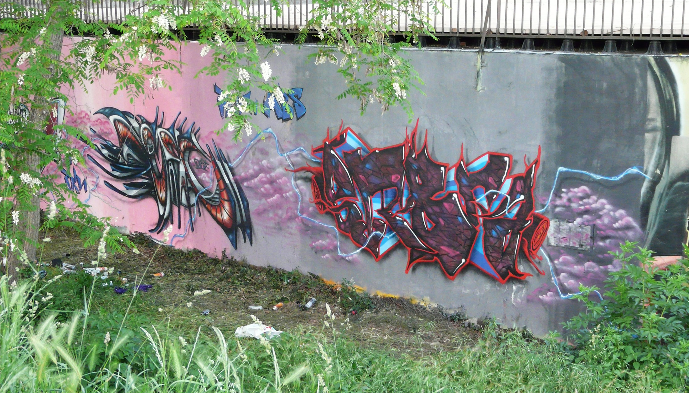graffiti-toulouse-street-art-deft-erbra-spot