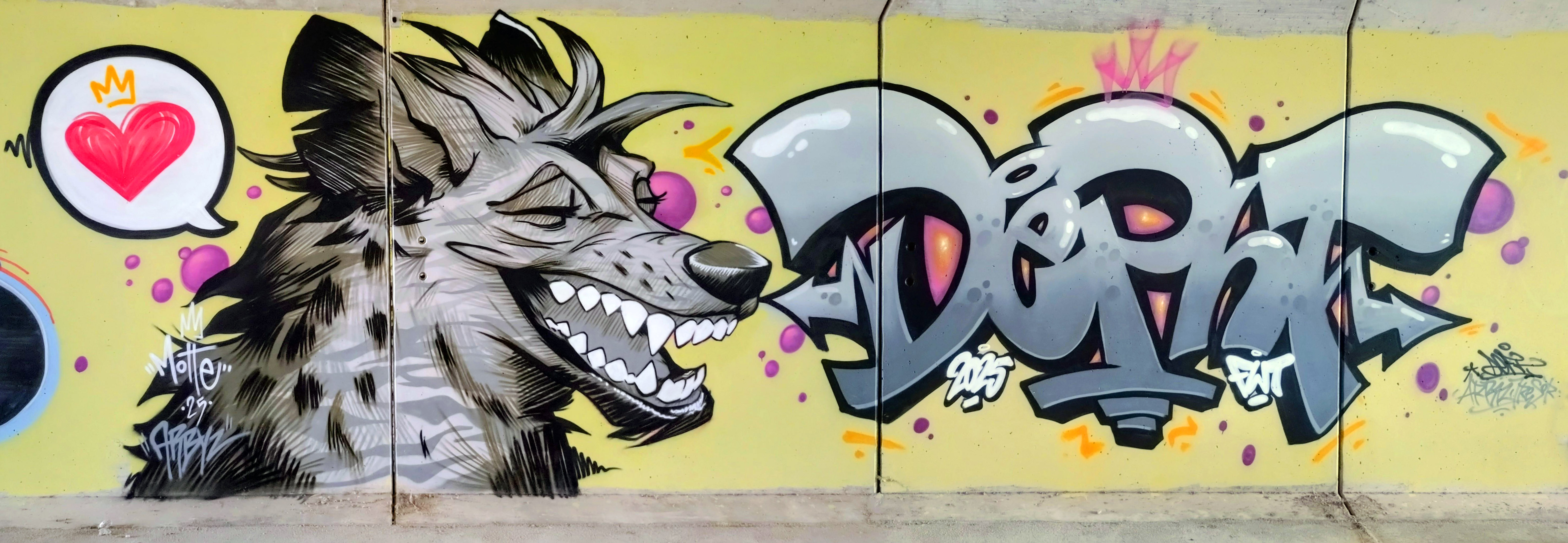 fresque street art Moulins 03